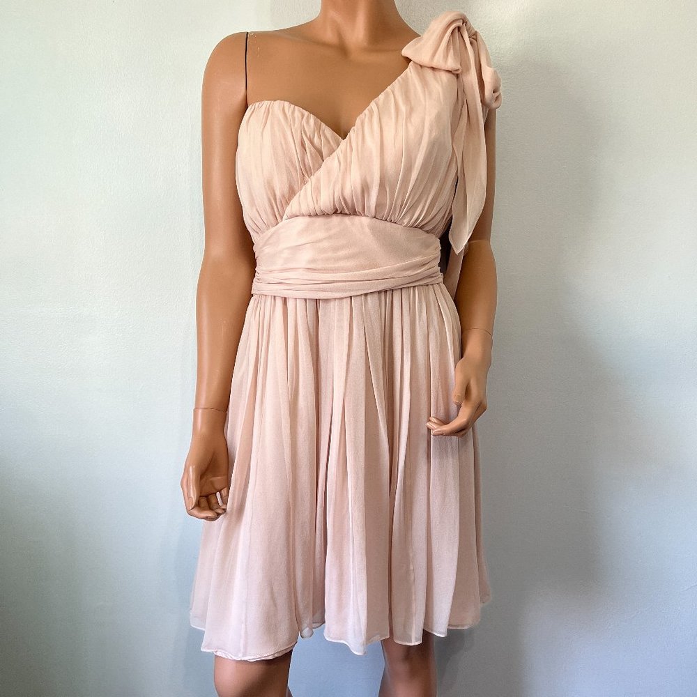Coren Moore Hannah Chiffon Dress Blush Pink Size 10 NWT